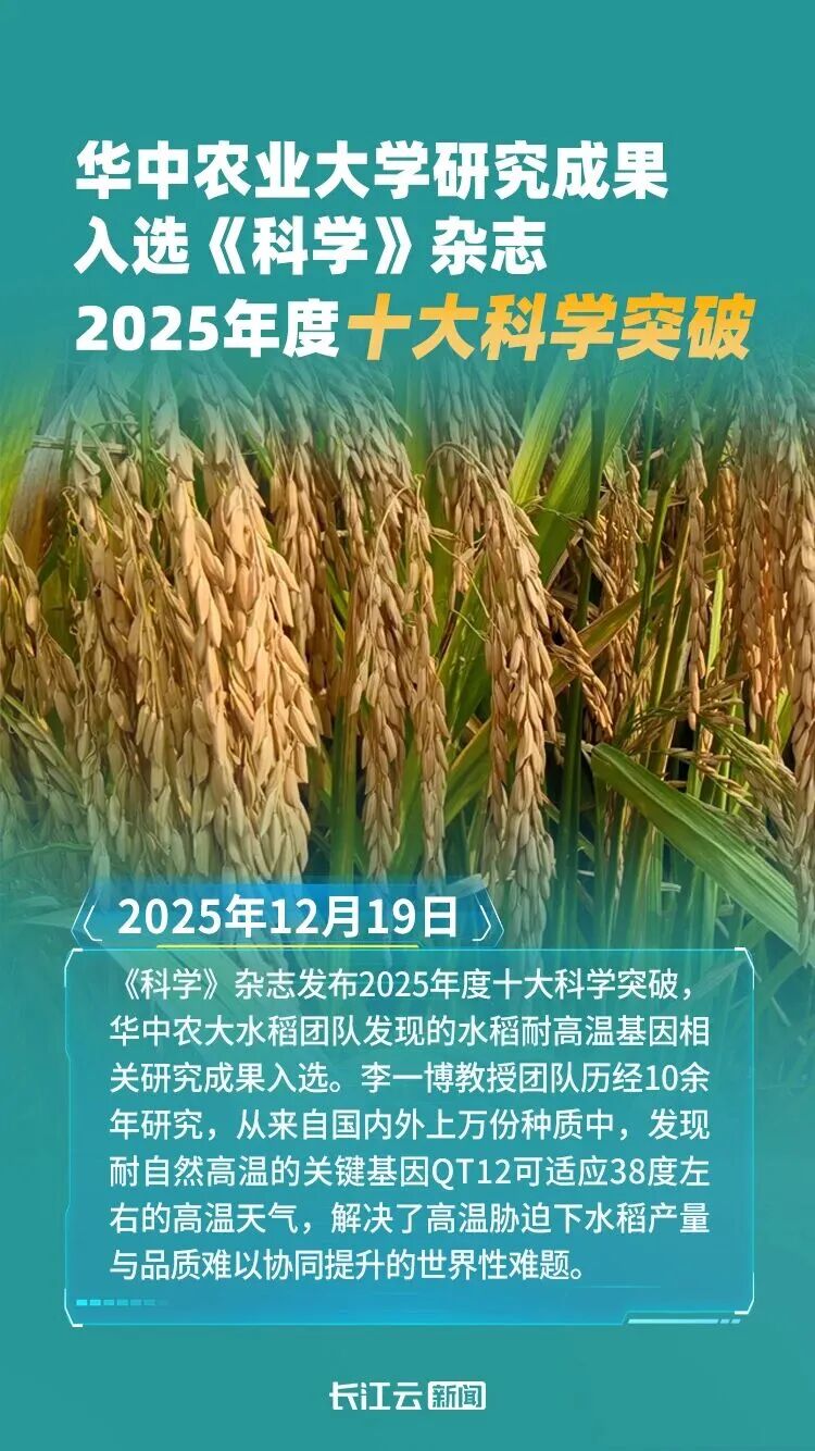 微信图片_2026-01-05_110941_633.jpg